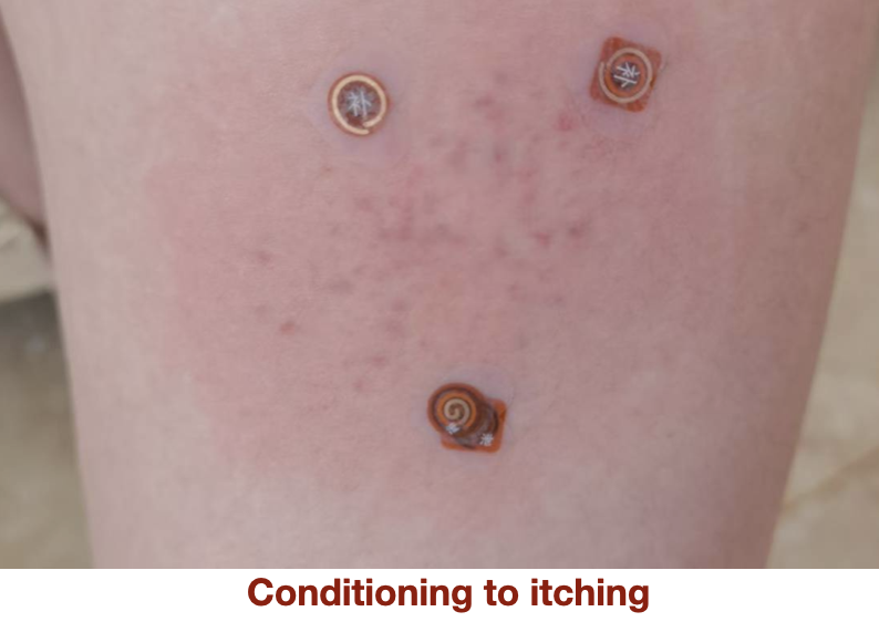 Eye of the Universe (Eye/U)